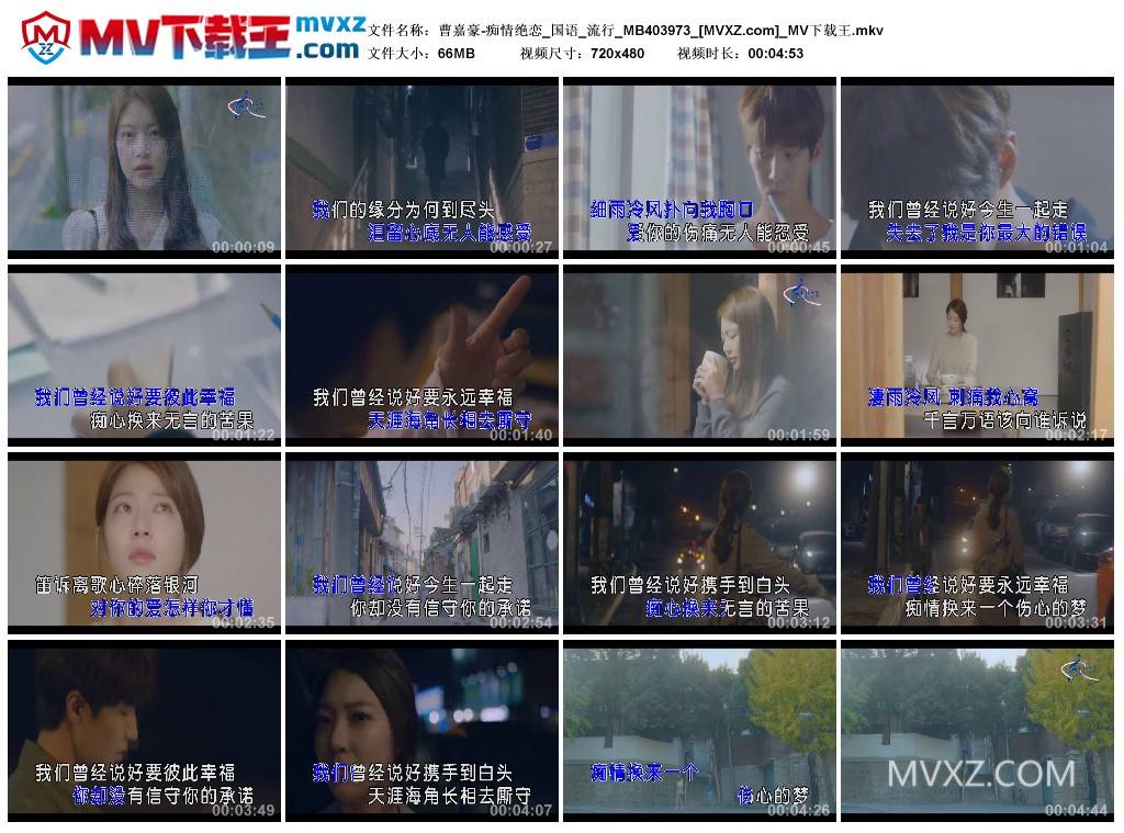 曹嘉豪-痴情绝恋_国语_流行_MB403973